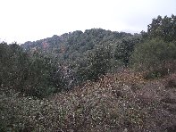 nte Ilice-20110120 055